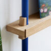 _0000s_0006_MOEBE_Magazine-Shelving_IC_Oak_Deep-Blue_High-Res_5.jpg
