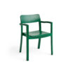 _0014_891074_Pastis_Armchair_pine_green_wb._lacquered_ash.jpg