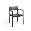 _0015_891073_Pastis_Armchair_black_wb._lacquered_ash.jpg