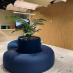 BuzziVault med LED-lys i showroom