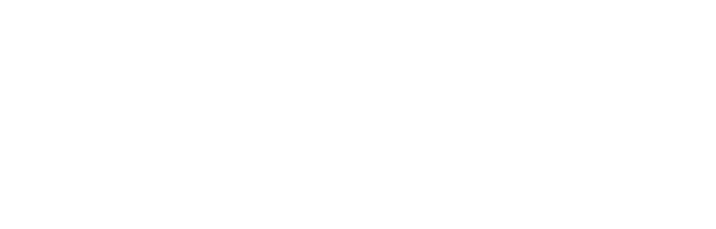 Profim
